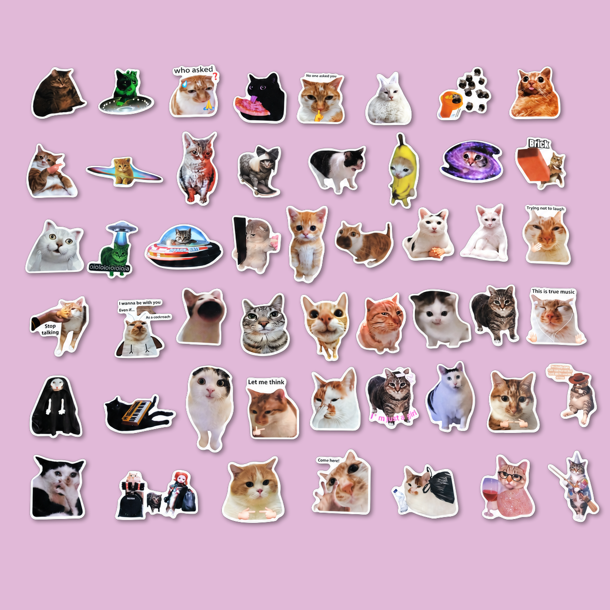 Kit de Adesivos Gato Meme